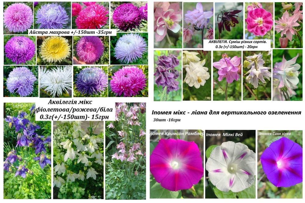 Насіння квітів домашнє з свого садка