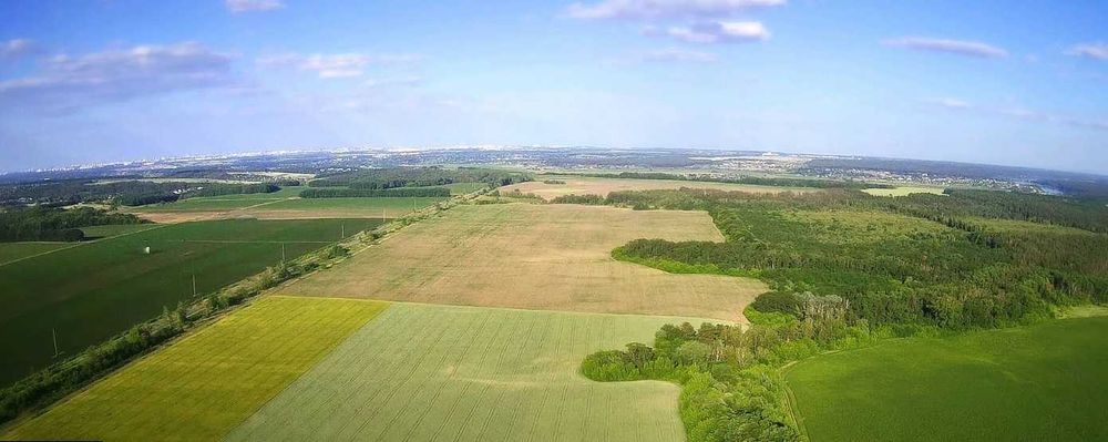 Продаж земельної ділянки в Музичах