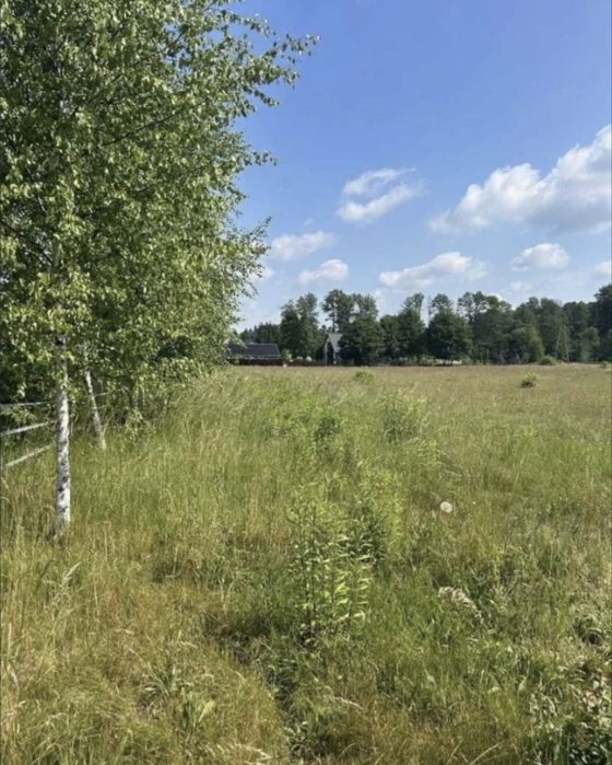 Działka budowlana 1293 m² | MPZP | 30 min od Warszawy | Halinów – Budziska - Widok 4