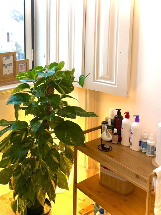 Massagem Relaxante Lisboa Terapeuta Homem Certificado c/Experiência