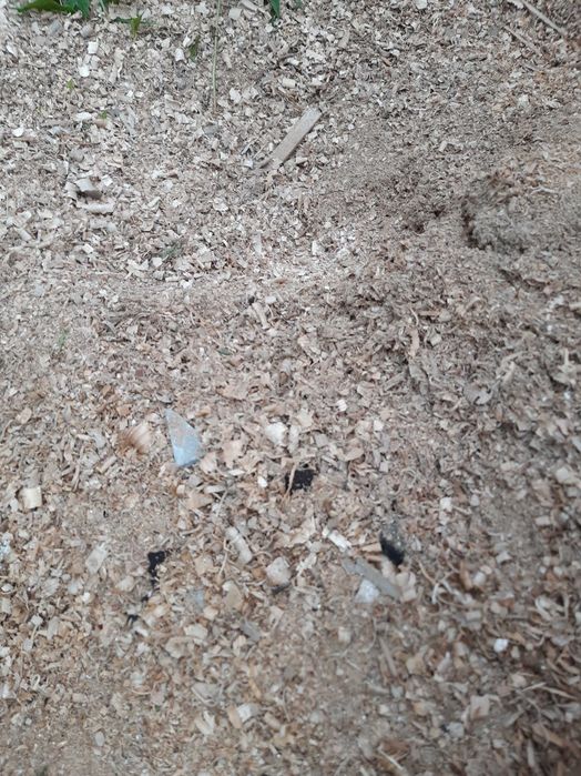 Trociny. Big bag uszy 8 worków. Mieszane opis.