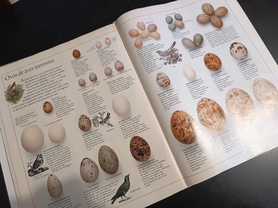 Visual Encyclopedia: Birds, Fish, and Mammals64551118366593123