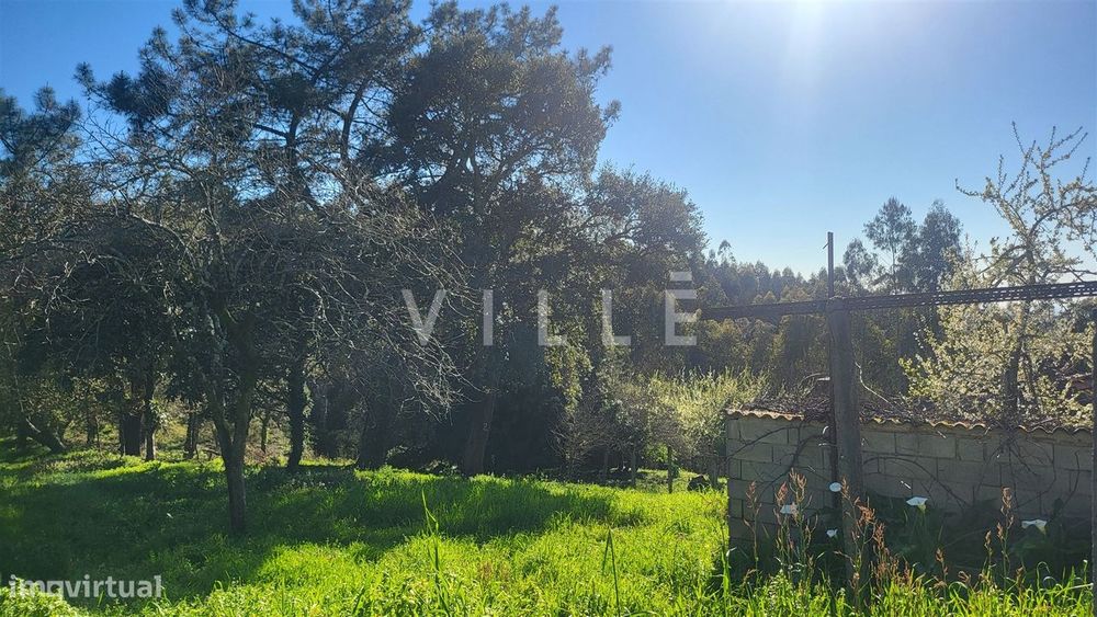 Terreno  Venda em Préstimo e Macieira de Alcoba,Águeda