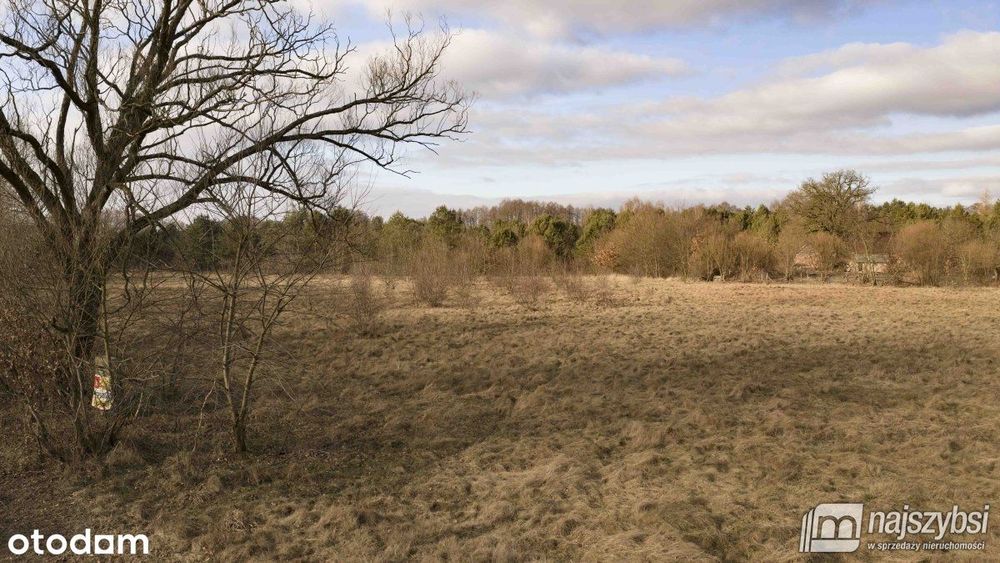 Krępsko - działka 3000 m2 otoczona naturą