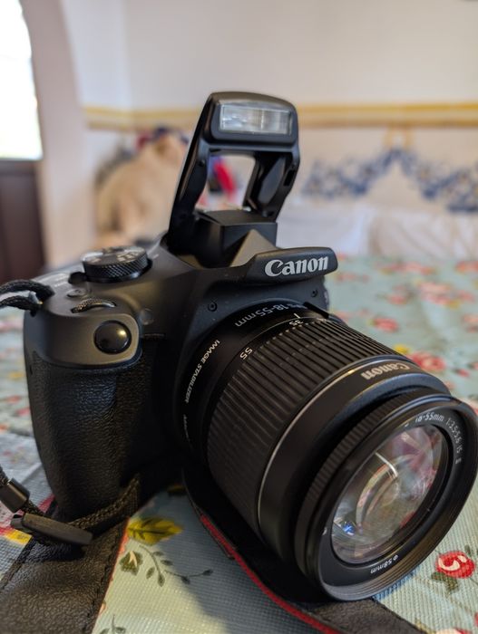 Canon EOS 2000 Ed