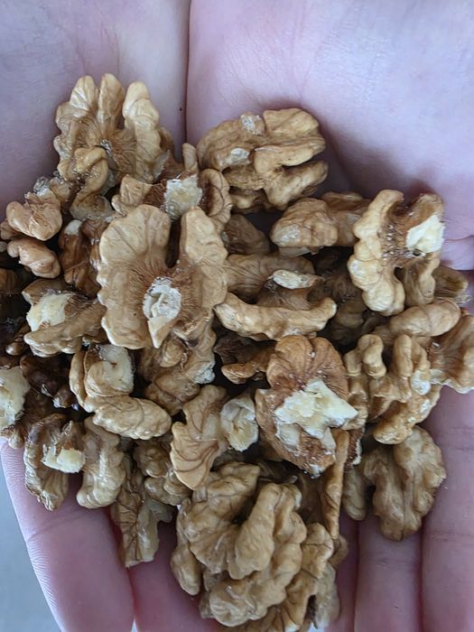 Orzechy włoskie łuskane