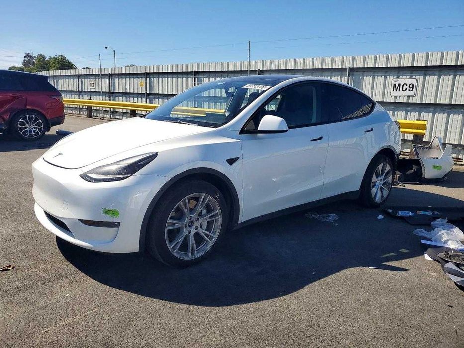 2023 Tesla  Model  Y