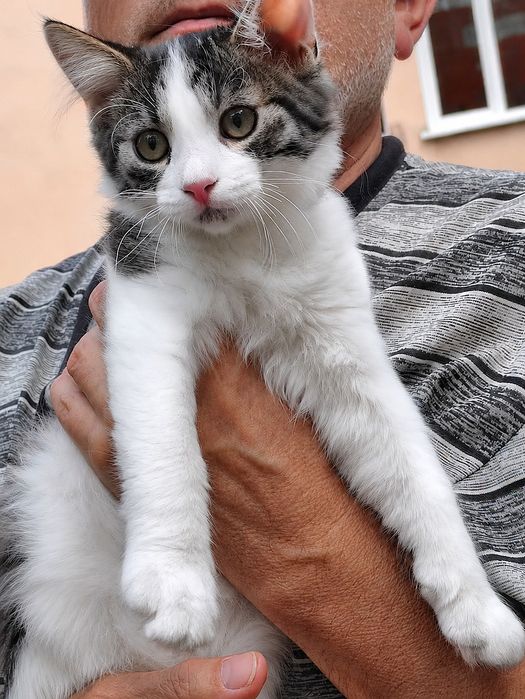 Хлопчик і дівчинка, 4,5 міс.