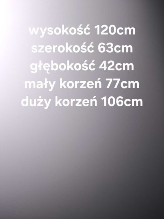 Terrarium pionowe 120x60x40