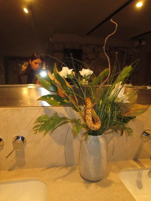 Canon a3400 сірий nikon coolpix sony cyber shot