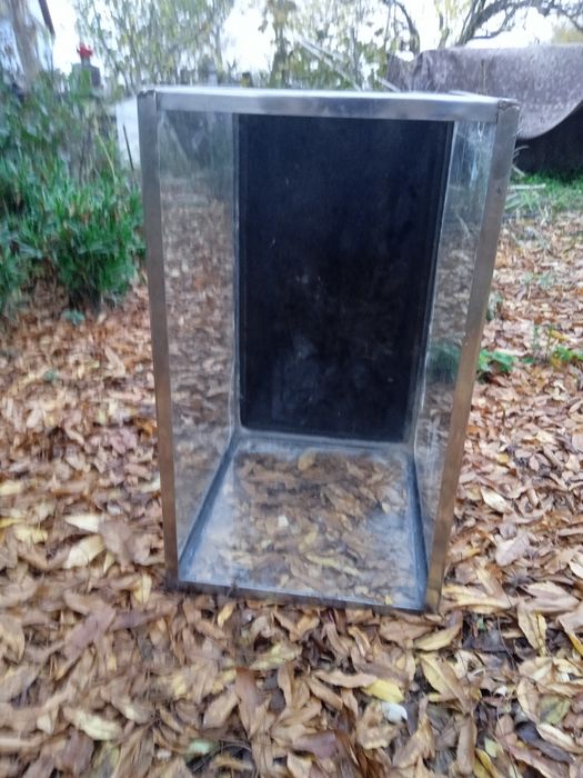 Аквариум или террариум .