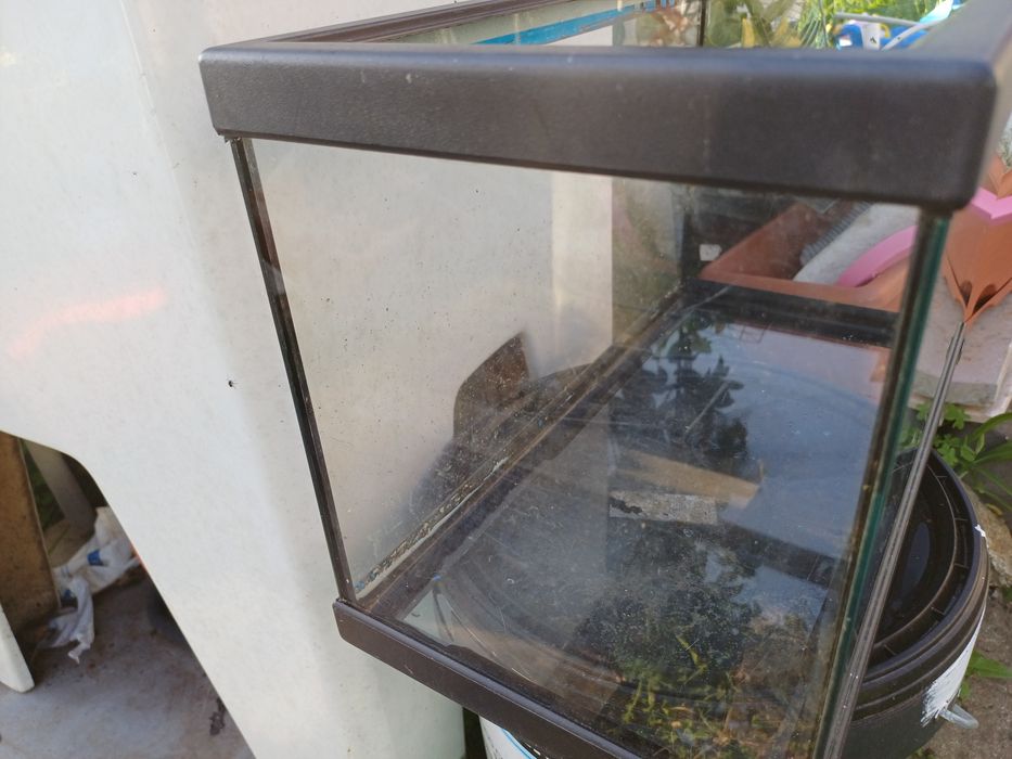 Aquário em bom estado