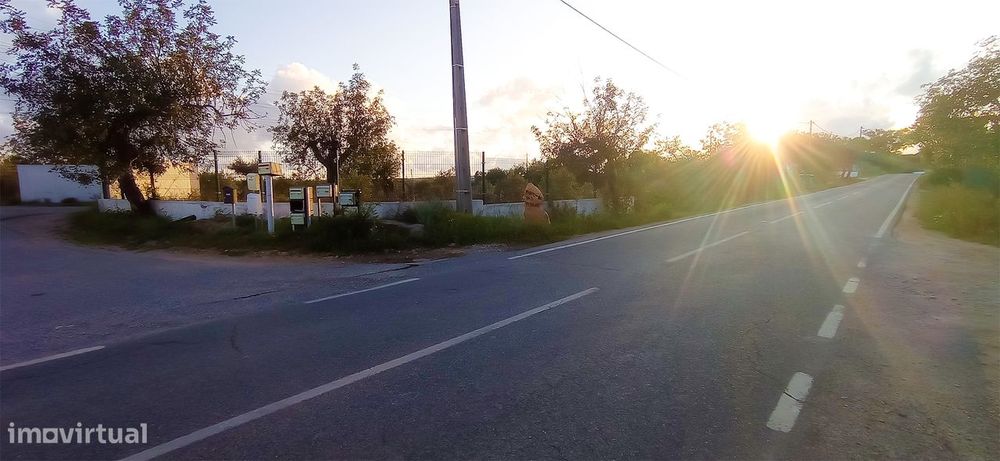 Terreno Rústico  Venda em Conceição e Estoi,Faro