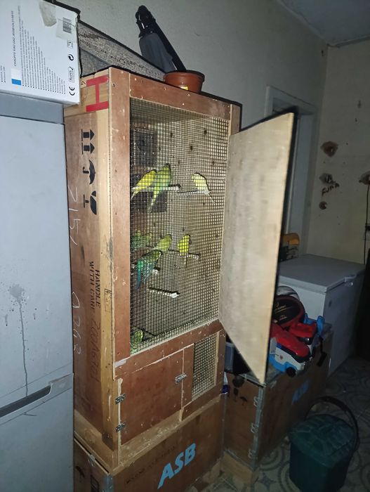 Viveiro com   Piriquitos