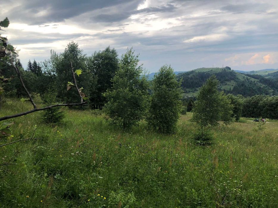 Ділянка, 60сот-5га, с.Буковець,Верховинського р-ну, Івано-Франк. обл.