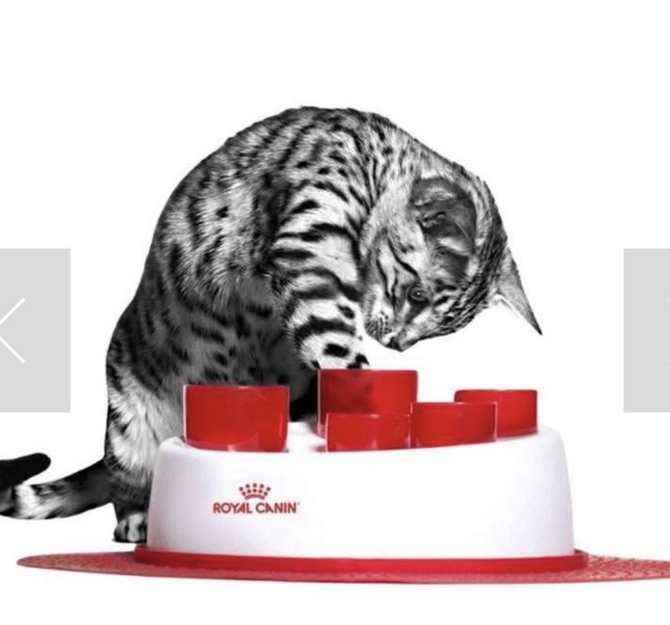 Нова інтерактивна тарілочка для котів. копалочка catit senses 2.0