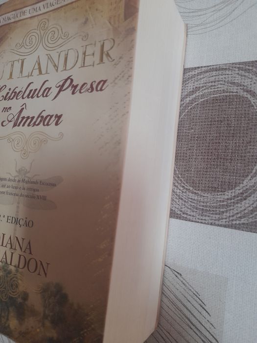 A Libélula Presa no Âmbar