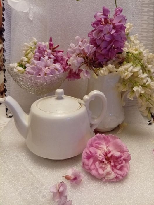 Кузнецов Чайник.РафаэльЧашки