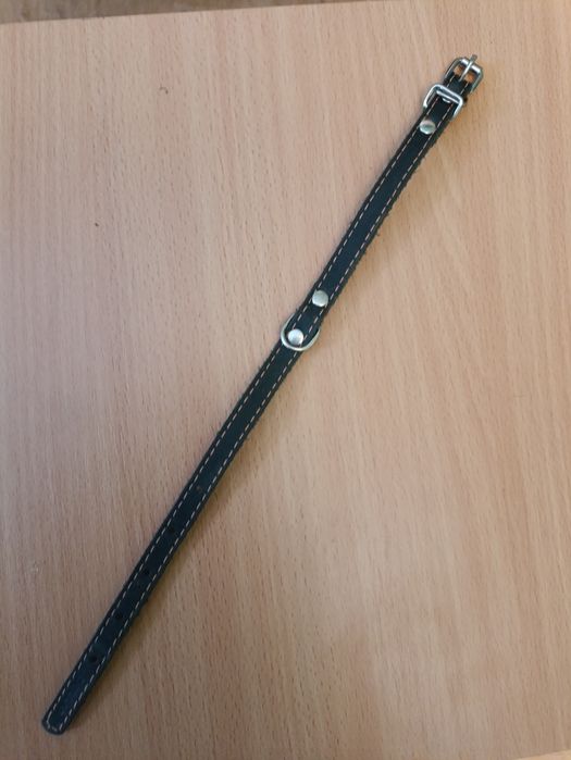 Ошийник для кота чи цуценяти