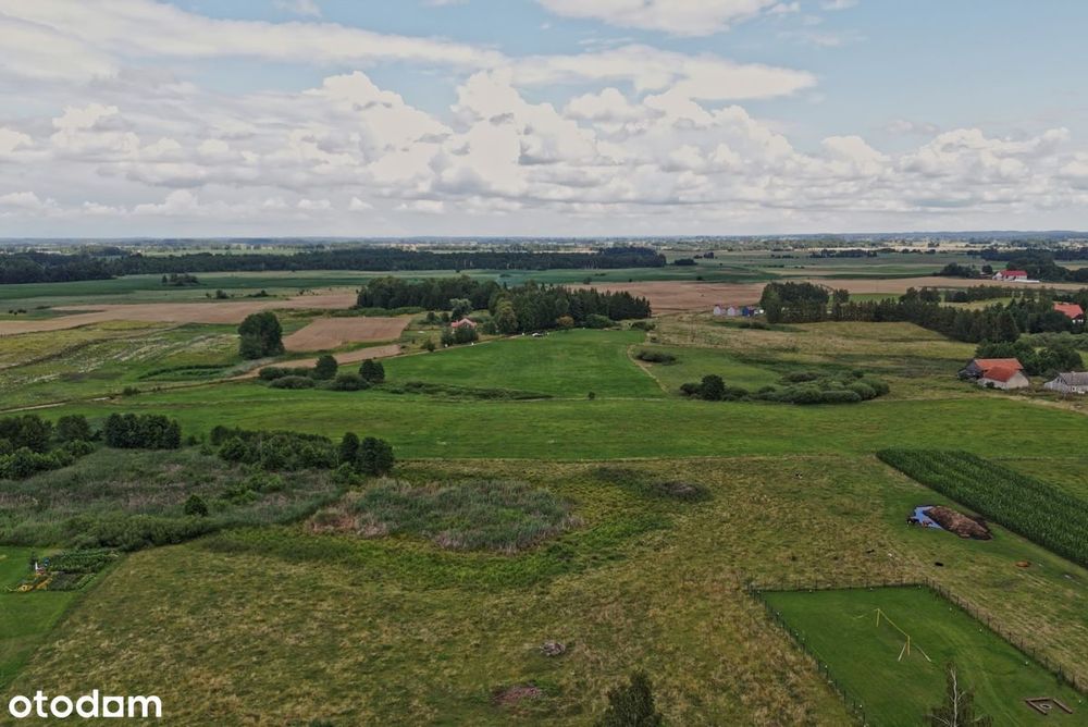 Działka 3130 m² | WZ | 500 m od jeziora Tałty - Widok 4