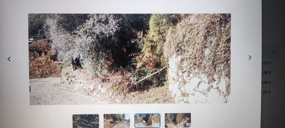 Vendo terreno rustico