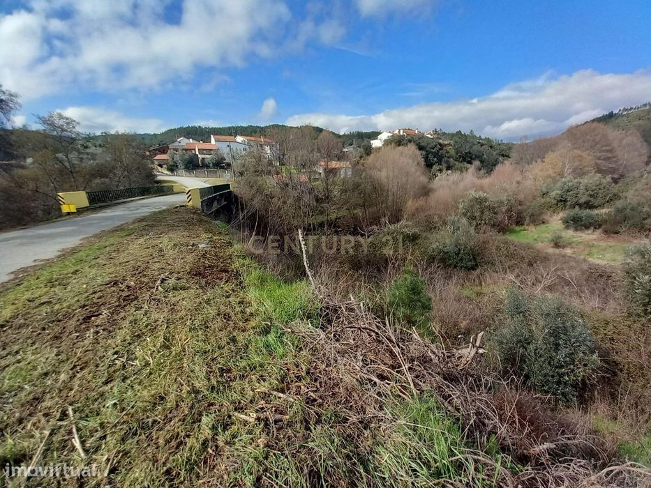 Terreno Rustico com 1450m2 Cerejeira-Alvito da Beira