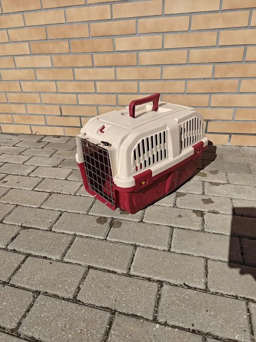 Transportadora de animal, gato cão