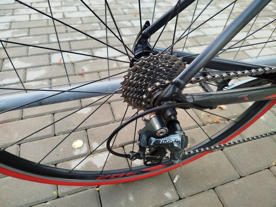 Giant Content SL rozm. XS