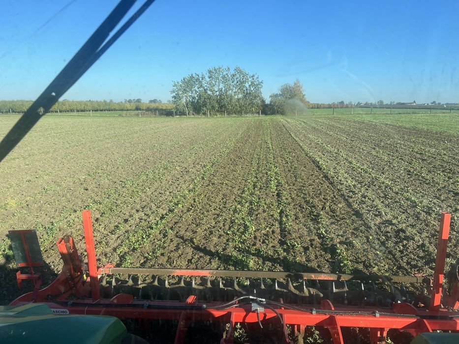 Maschio gaspardo artiglio 500/11 pług dłutowy głębosz jak nowy 5metrow