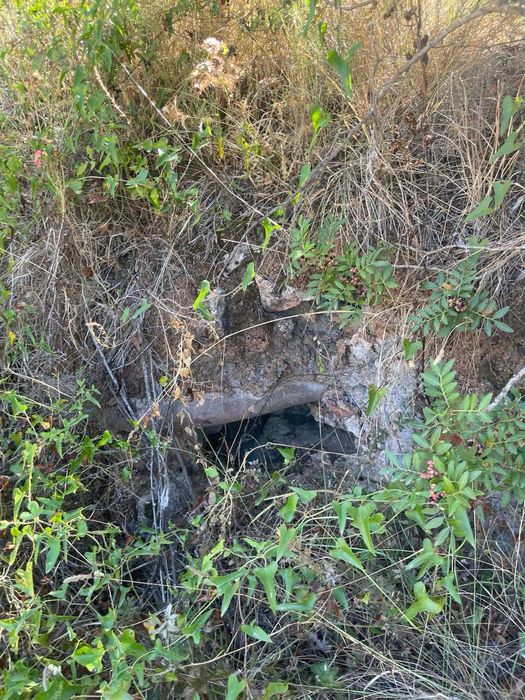 Terreno Rústico à Venda em Fonte da Benevola