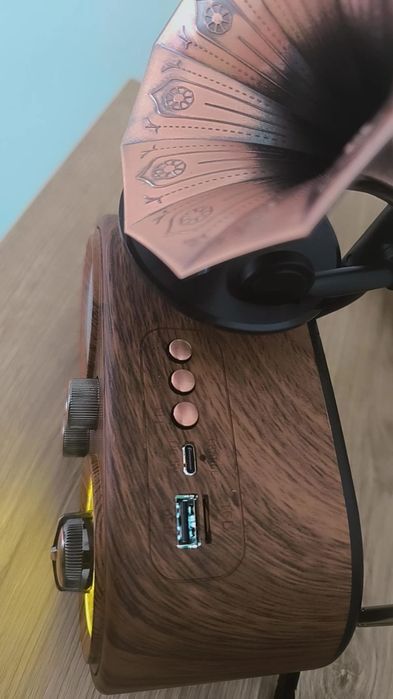 Radio Vintage bluetooth e pen