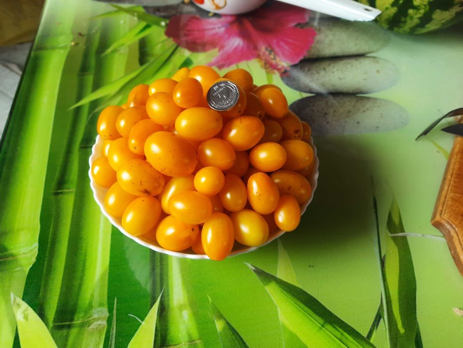 Насіння солодких помідорів.