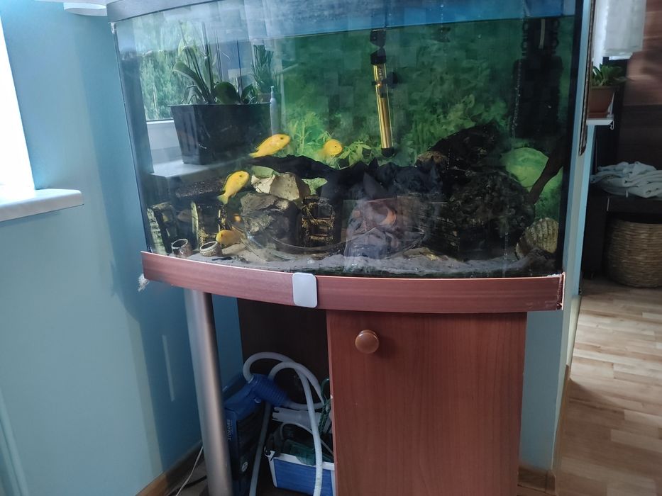 Sprzedam akwarium ze wszystkim