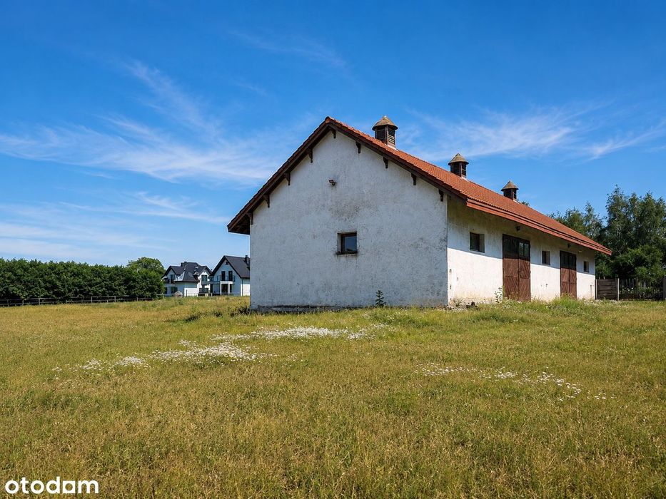 Działka usługowa_Zabudowana_Stajnia-Magazyn - Widok 3