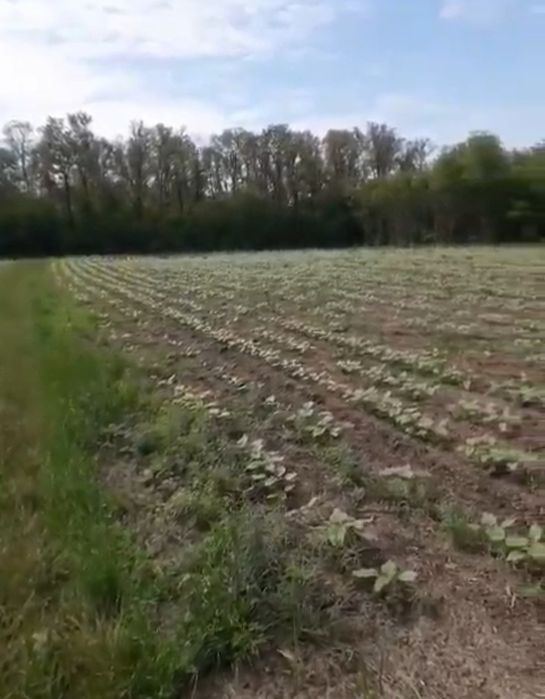 Продам земельну ділянку для будівництва