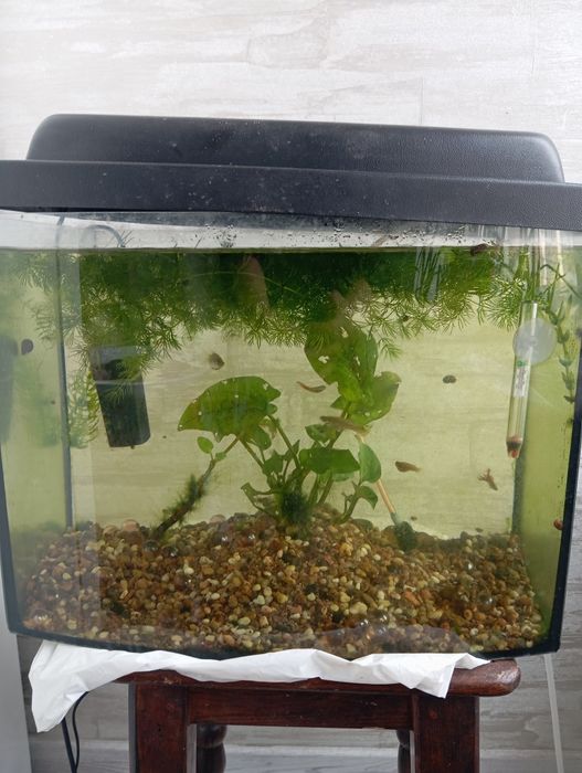 Аквариум на 25 литров,