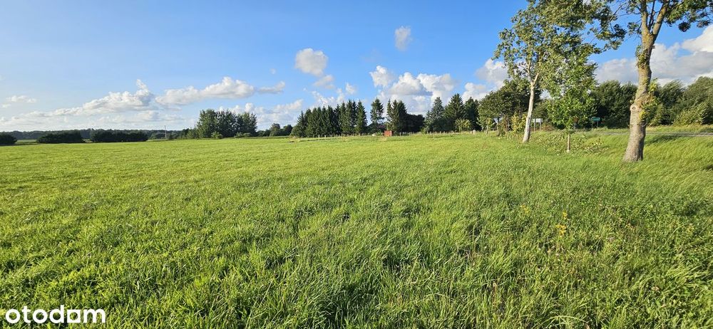 Działka budowlana 5km od Braniewa. - Widok 3