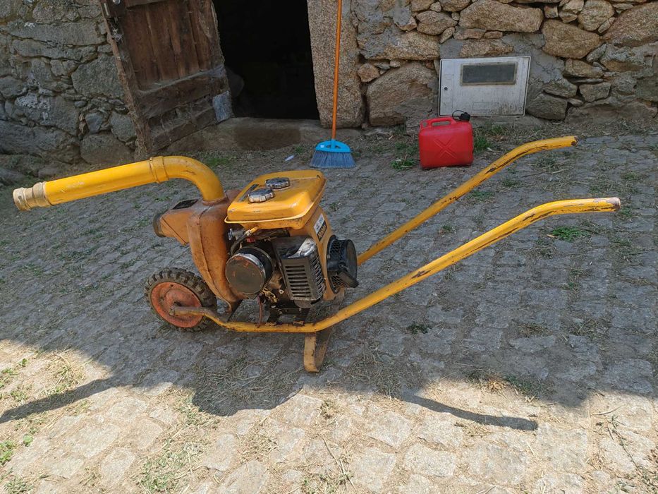 Motor de rega 2 polegadas Robin