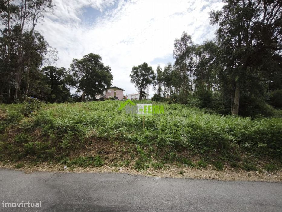 Land for Construction, Arrifana