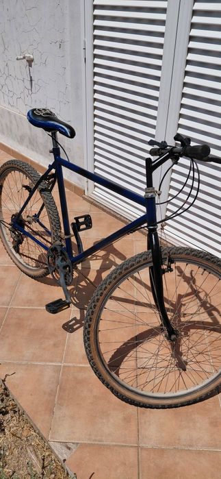 Bicicleta de montanha