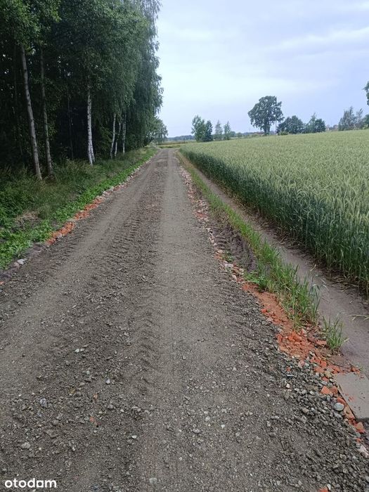 Działka przy lesie - Widok 4