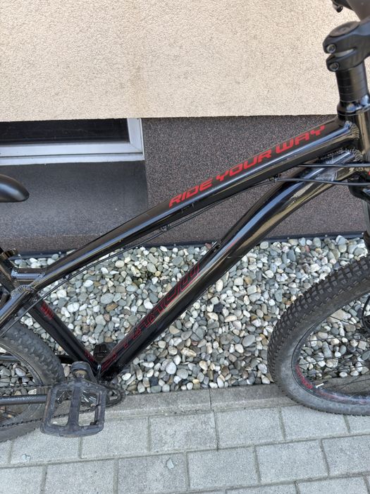 Dartmoor sparrow intro 27.5