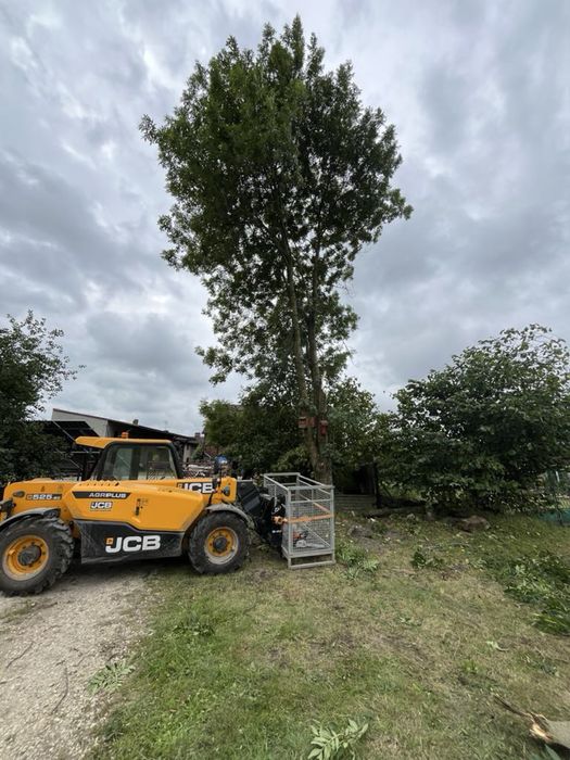 Wycinka drzew, karczowanie terenu, usuwanie korzeni