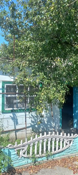Продам будинок Терміново