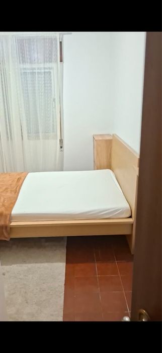 Arrendasse quarto no entroncamento