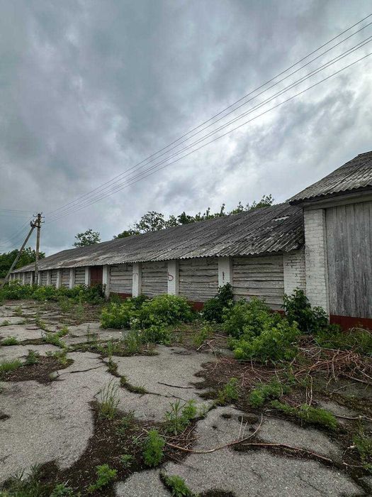 Продаж частини колишнього колгоспного двору, с. Олишівка
