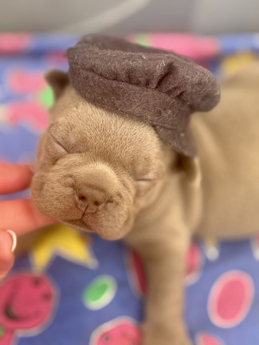 Найкрасивіший малючок товстун