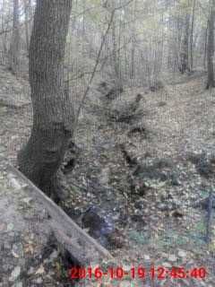 Продам або обміняю земельну ділянку в с.Тетерівське