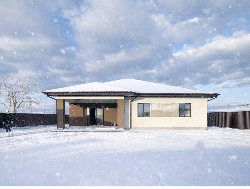 Продам будинок в с. Велика Димерка IM