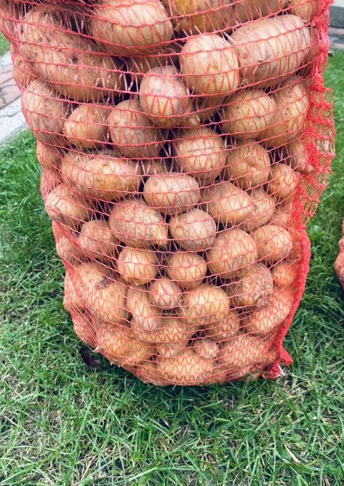 Ziemniaki Naturalne bez nawozu (eko) 25kg